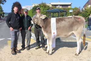 Rinderchampion Horw-Hergiswil Holdrio Grace von Zrotz Beat Brndi Hergiswil